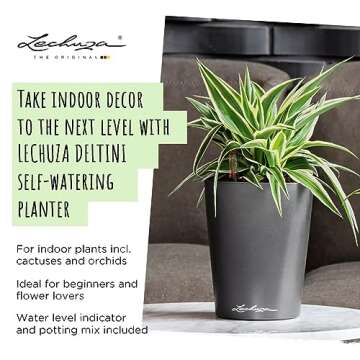 Lechuza 14900 Deltini Self-Watering Planter for Indoor and Outdoor Use, 6" x 6" x 7", White