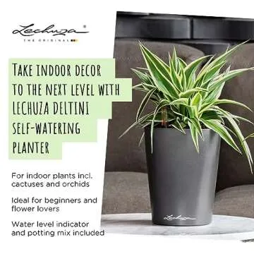 Lechuza 14900 Deltini Self-Watering Planter for Indoor and Outdoor Use, 6" x 6" x 7", White