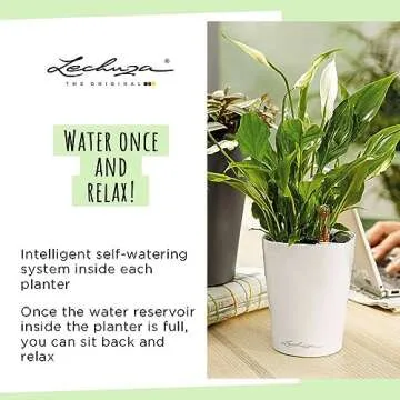 Lechuza 14900 Deltini Self-Watering Planter for Indoor and Outdoor Use, 6" x 6" x 7", White