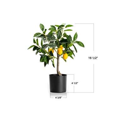 Velener Fake Lemon Tree 19"- Bonsai Tree Indoor with Pot Farmhouse Home Decor Living Room Kitchen Sh...