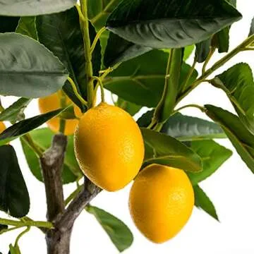 Velener Fake Lemon Tree 19"- Bonsai Tree Indoor with Pot Farmhouse Home Decor Living Room Kitchen Shelf Office Desk Bathroom Table Mini Outdoor Tree Faux Plant Porch Lemon Decor Floor Plant Tall