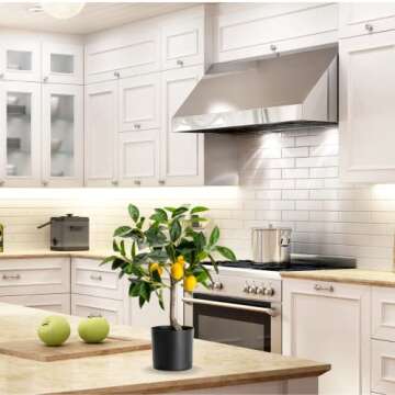 Velener Fake Lemon Tree 19"- Bonsai Tree Indoor with Pot Farmhouse Home Decor Living Room Kitchen Shelf Office Desk Bathroom Table Mini Outdoor Tree Faux Plant Porch Lemon Decor Floor Plant Tall