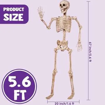 JOYIN 67 Inches Life Size Skeleton Full Body Realistic Human Bones with Posable Joints for Halloween Pose Skeleton Prop Decoration, Indoor and Outdoor Use