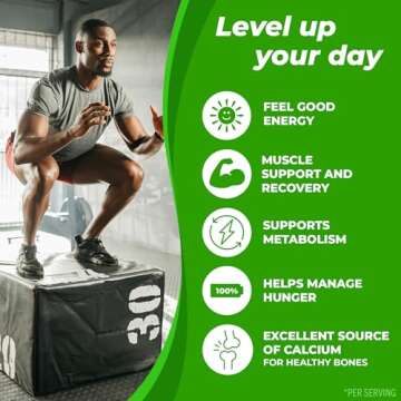 Orgain 30g High Protein Shake, Dairy Isolate Milk Protein, Chocolate Fudge, 6g BCAAs, 1g Sugar Per Serving, Meal Replacement, Ready to Drink, Keto Friendly, Gluten-Free 11 Fl Oz (Pack of 12)