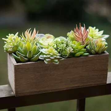 Artificial Succulent Plants Realistic (Bronzy)