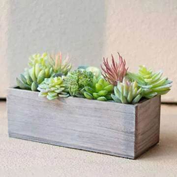 Artificial Succulent Plants Realistic (Bronzy)