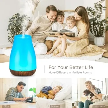 Aromatherapy Essential Oil Diffuser Mini Humidifier