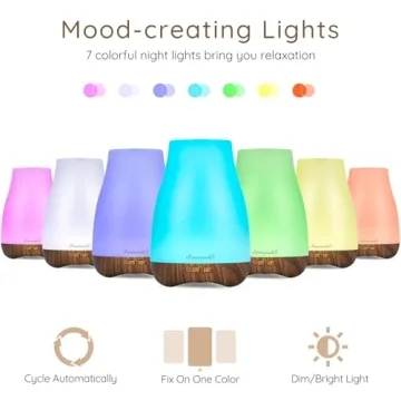 Aromatherapy Essential Oil Diffuser Mini Humidifier