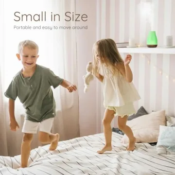 Aromatherapy Essential Oil Diffuser Mini Humidifier