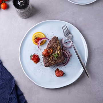 LERATIO 8.0 inch Ceramic Plates Set - Light Blue Elegance