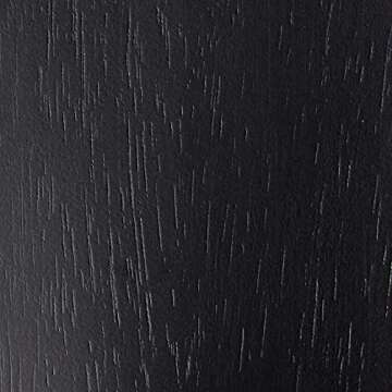 Stylish Homestyles Blair Black Dining Chairs Set of 2