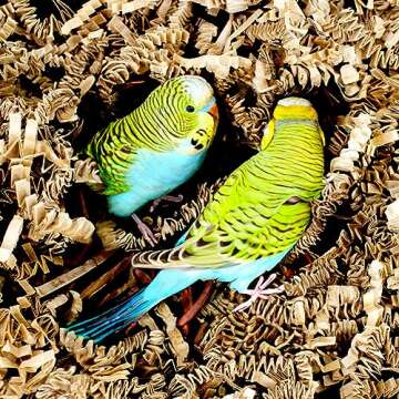 Kraft Crinkle Cut Paper Shred Filler for Gifts and Baskets