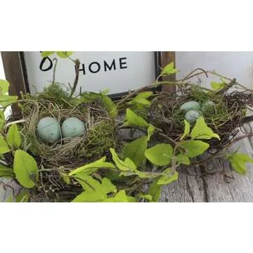 The Bridge Collection Faux Decorative Bird's Egg Nest - Cute Bird Nest with Eggs Tabletop Decoration for Spring, Summer, Everyday Home Decor (Robin's Eggs - Set of 2)
