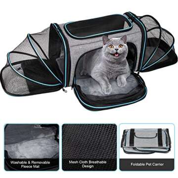 BERTASCHE Cat Carrier: Expandable Airline Approved Pet Carrier