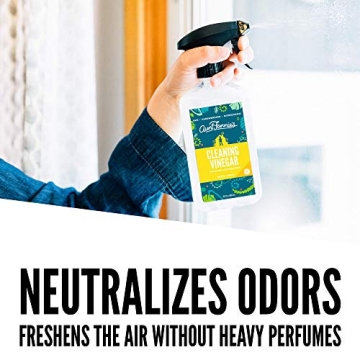 Aunt Fannie’s All Purpose Cleaning Vinegar - Safe & Effective