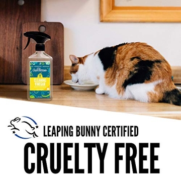 Aunt Fannie’s All Purpose Cleaning Vinegar - Safe & Effective