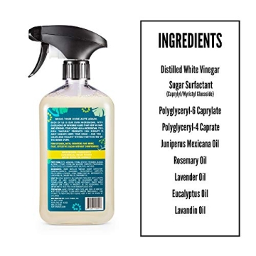 Aunt Fannie’s All Purpose Cleaning Vinegar - Safe & Effective