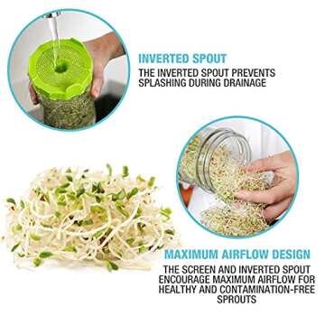 Masontops Easy DIY Bean Sprout Kit with Seeds & Lids