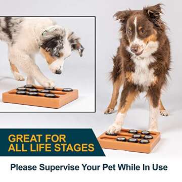 Our Pets Sushi Interactive Puzzle Game Dog Toys & Cat Toys (Puzzle & Interactive Dog Toy) Great Alternative to Snuffle Mat for Dogs; Slow Feeder Bowls & Slow Feeder Cat Bowl