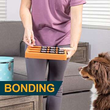 Our Pets Sushi Interactive Puzzle Game Dog Toys & Cat Toys (Puzzle & Interactive Dog Toy) Great Alternative to Snuffle Mat for Dogs; Slow Feeder Bowls & Slow Feeder Cat Bowl