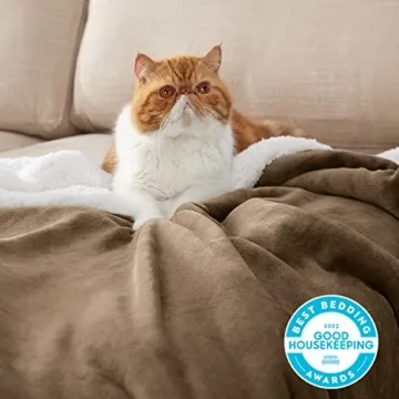 Bedsure Sherpa Fleece Throw Blanket - Soft Cozy Warmth?