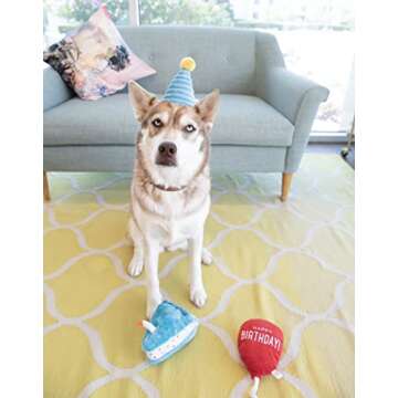 ZippyPaws Birthday Box Gift for Dogs - Squeaky Toy Set
