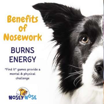 The Nosey Nose Dog Scent Training Kit - Anise Scent Zipper Pouch with Tin & Brain Puzzle Games - Nosework Scentwork Games for All Ages Dog
