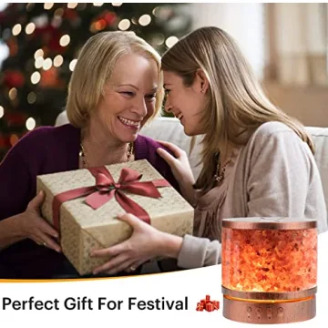 Essential Oil Diffuser with Himalayan Salt Lamp for Home