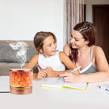 Essential Oil Diffuser with Himalayan Salt Lamp for Home