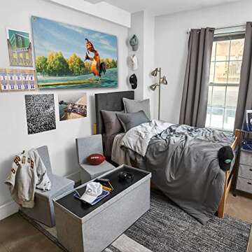 siixoi Chicken Flag 3X5FT Meme Tapestry Funny Man Cave Wall Flag for College Dorm Decor, Outdoor, Be...