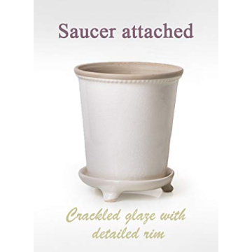 Elegant White Vintage Flower Pot - 7" Ceramic Planter