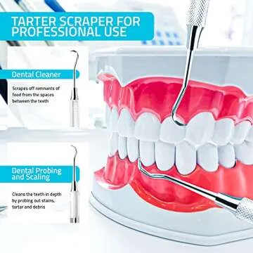 Utopia Care Professional Dental Tartar Scraper Tool - Dental Pick, Double Ended Tartar Remover for Teeth, Plaque Remover, Tooth Scraper (6.5 Inch, Silver, 1)