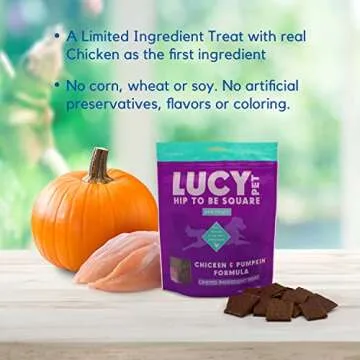 Lucy Pet Hip To Be Square Chicken And Pumpkin Dog Treats 6Oz