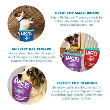 Lucy Pet Hip To Be Square Chicken And Pumpkin Dog Treats 6Oz