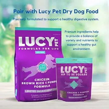 Lucy Pet Hip To Be Square Chicken And Pumpkin Dog Treats 6Oz