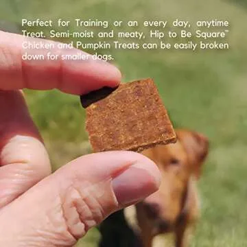 Lucy Pet Hip To Be Square Chicken And Pumpkin Dog Treats 6Oz