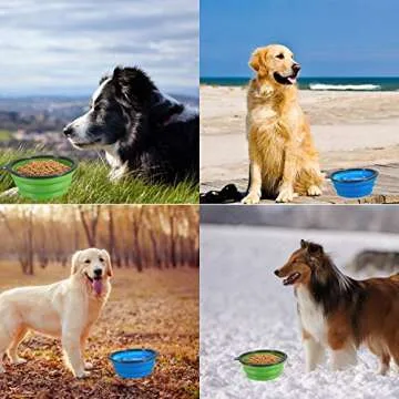 Collapsible Dog Bowls for Food and Water Portable Travel