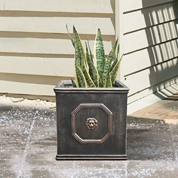 Kante Square Lion Head Concrete Planter for Home & Garden