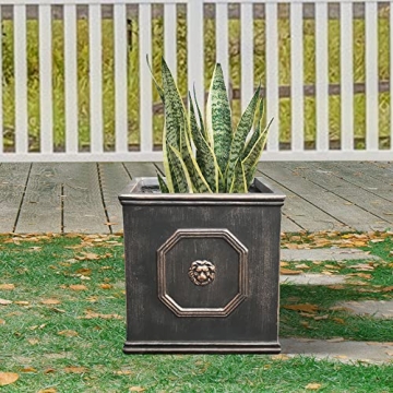 Kante Square Lion Head Concrete Planter for Home & Garden