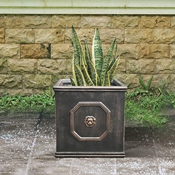Kante Square Lion Head Concrete Planter for Home & Garden