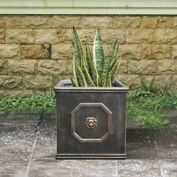 Kante Square Lion Head Concrete Planter for Home & Garden