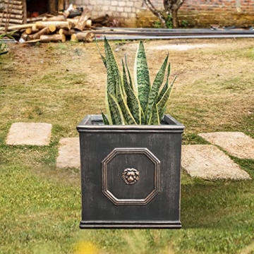 Kante Square Lion Head Concrete Planter for Home & Garden