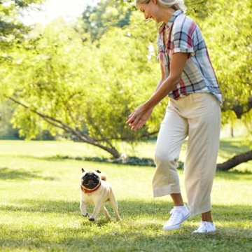 Milk-Bone Gnaw Bones Real Chicken Flavor Dog Treats