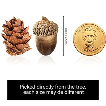 Syhood 200 Pieces Pine Cone and Acorn Set for Autumn Decor