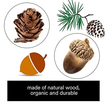 Syhood 200 Pieces Pine Cone and Acorn Set for Autumn Decor