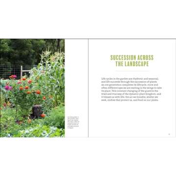 Plant Grow Harvest Repeat: Grow a Bounty of Vegetables, Fruits, and Flowers by Mastering the Art of Succession Planting