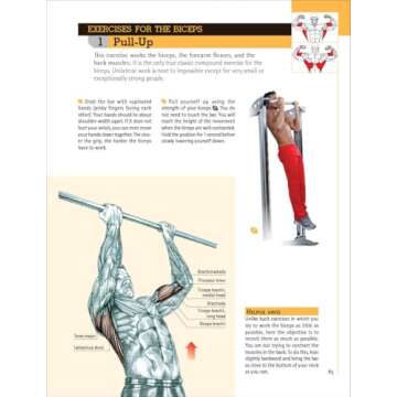 Delavier's Anatomy for Bigger, Stronger Arms