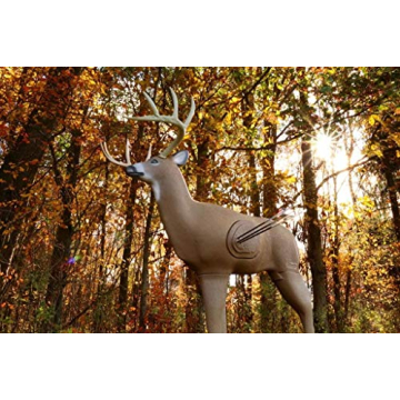 Shooter Buck 3D Deer Target - Realistic and Durable