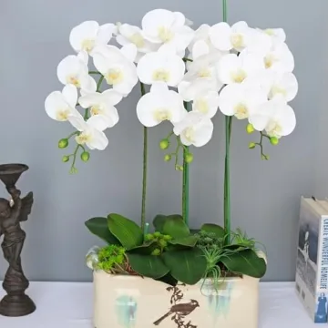Lifelike 38 Inch Real Touch Orchids for Elegant Decor