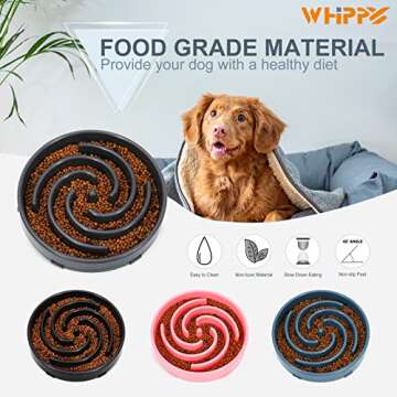 Whippy Slow Feeder Dog Bowl for Healthy Eating